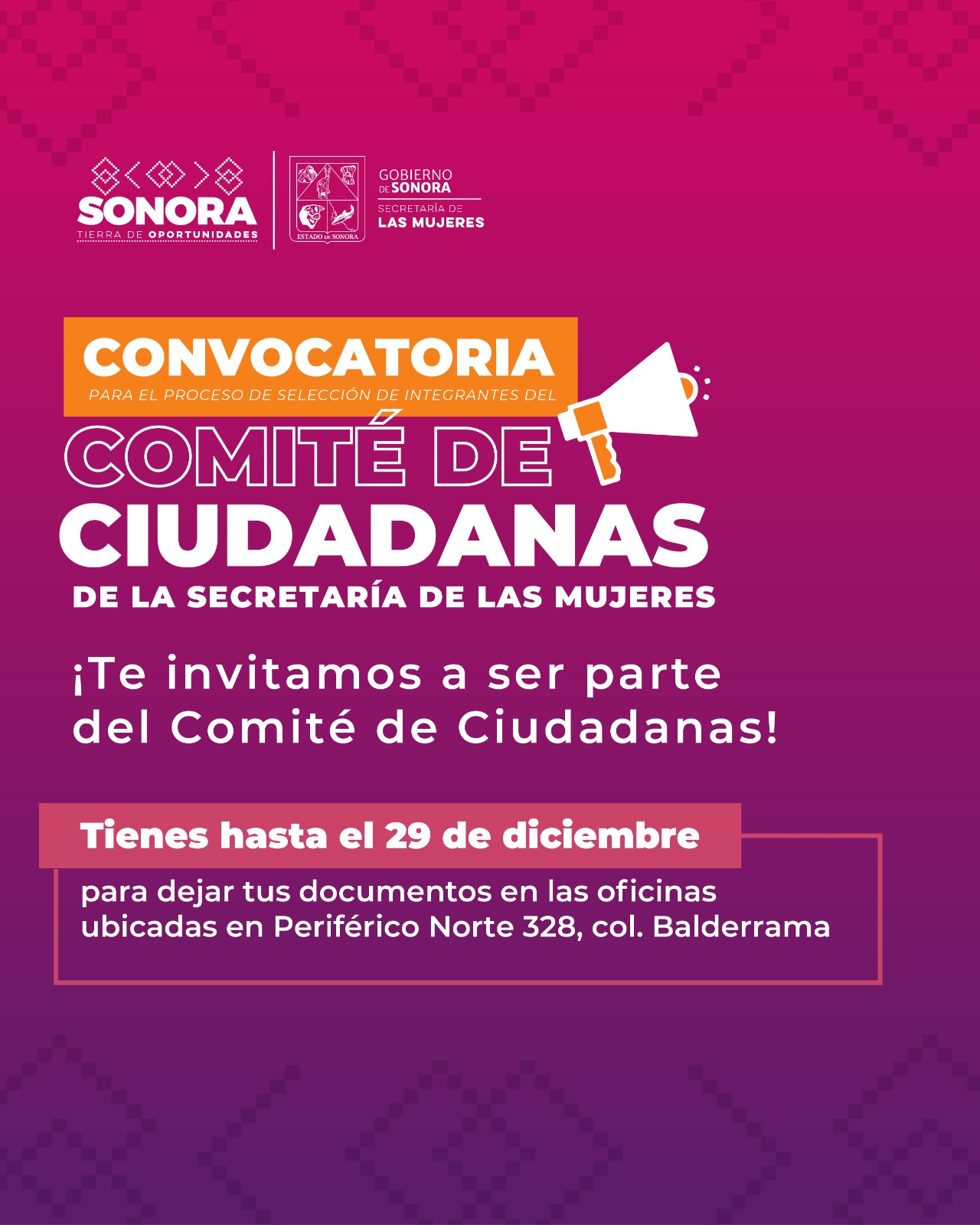 CONVOCATORIA PÚBLICA ABIERTA PARA EL PROCESO DE SELECCIÓN DE LAS MUJERES INTEGRANTES DEL COMITÉ DE CIUDADANAS